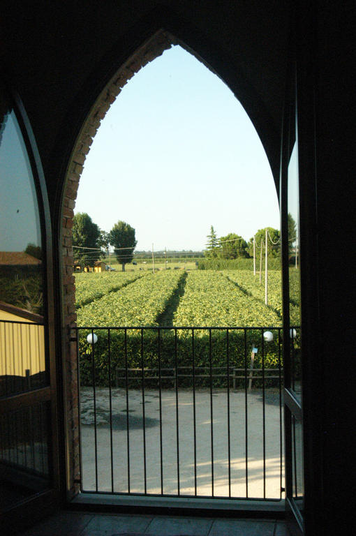 Locanda Merlaschio Faenza Rum bild