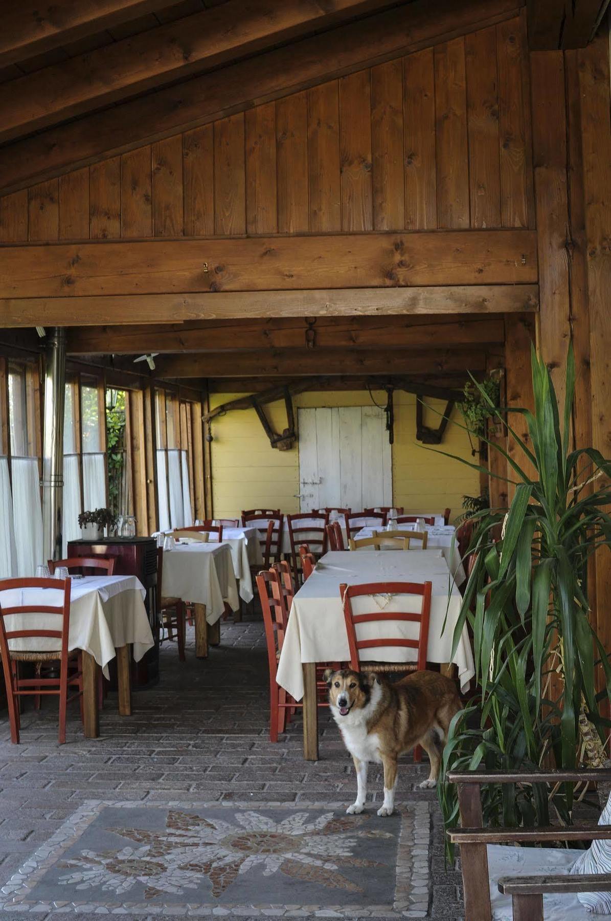 Locanda Merlaschio Faenza Exteriör bild